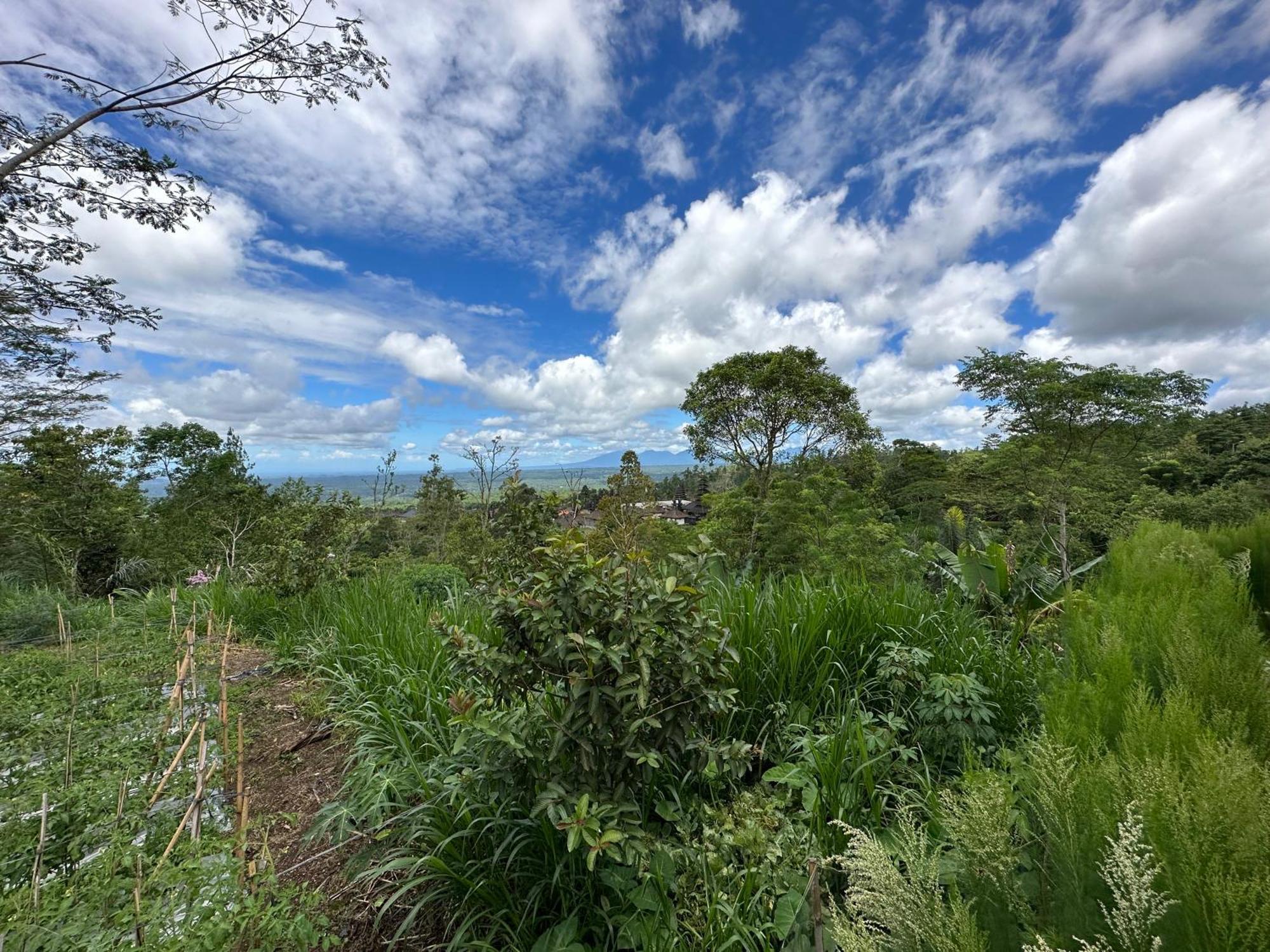 Bali Basuki Retreat Center Διαμέρισμα Besakih Εξωτερικό φωτογραφία