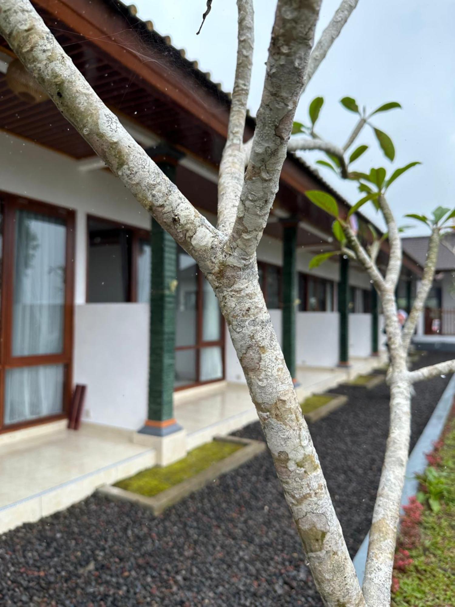 Bali Basuki Retreat Center Διαμέρισμα Besakih Εξωτερικό φωτογραφία
