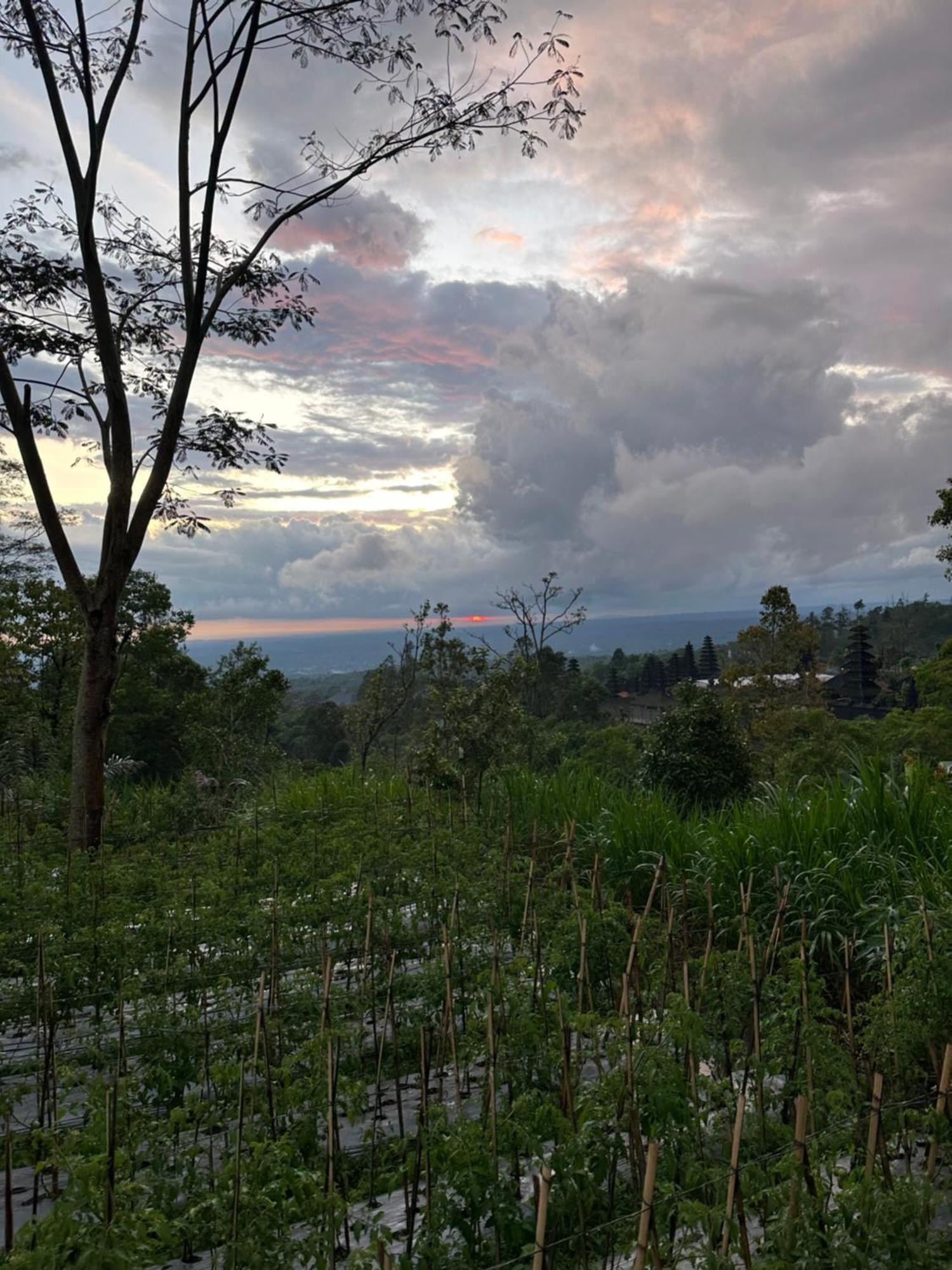 Bali Basuki Retreat Center Διαμέρισμα Besakih Εξωτερικό φωτογραφία